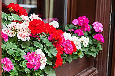 EA SPORTS™《FIFA 23》与你一起欢度兔年！终极版和标准版四折优惠